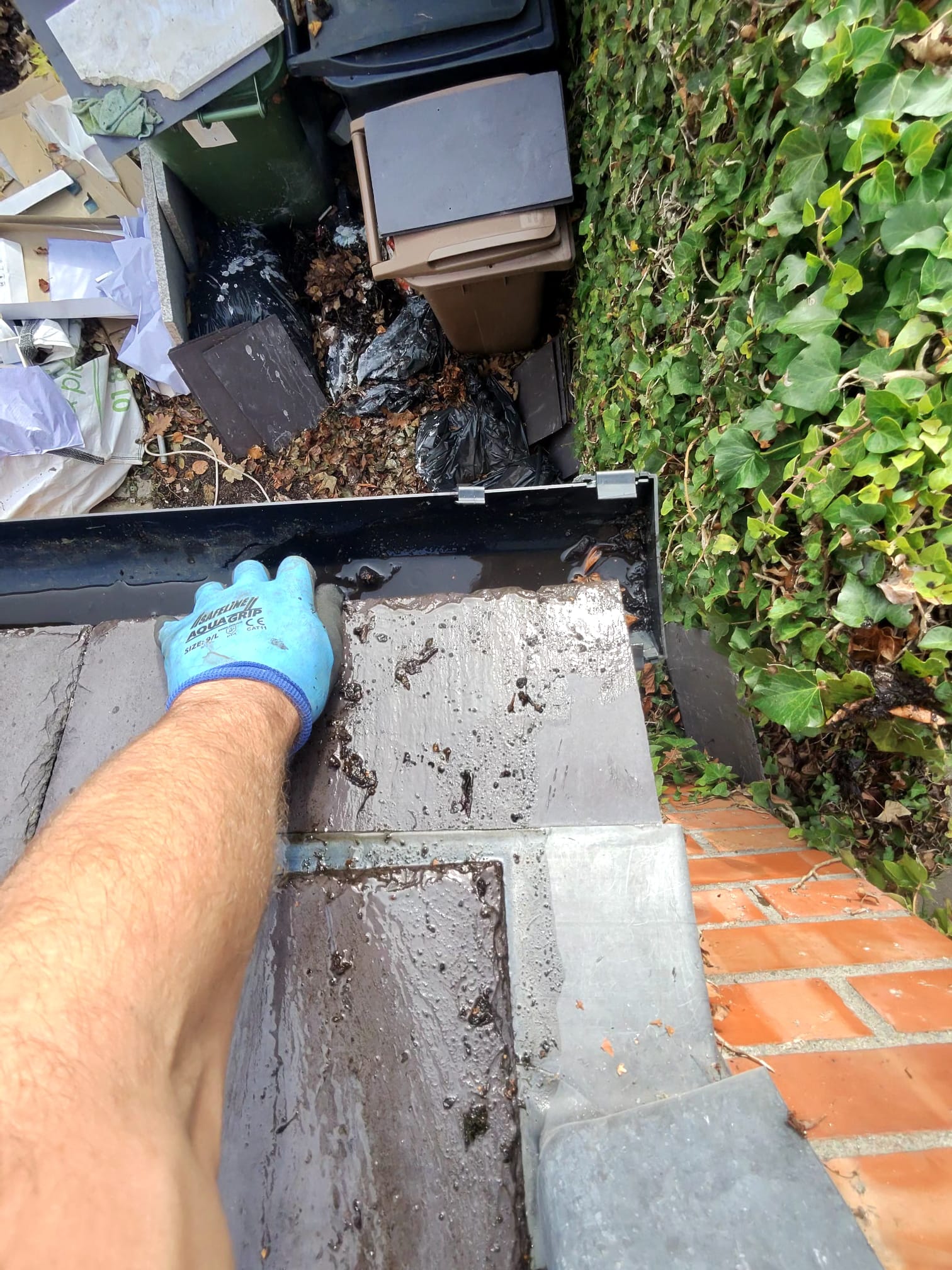 Gutter Cleaning & Fascia/Soffit